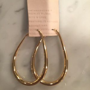 Anthropologie Gold Oblong Hoop Earring 2.75” L   NWOT